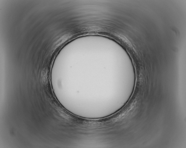 X0000112090873200908251125