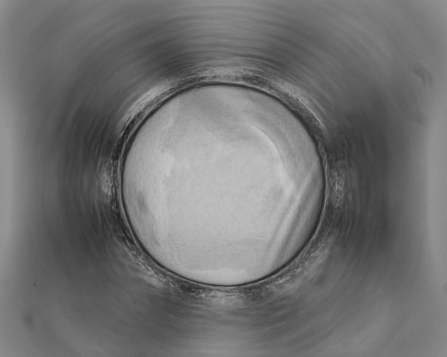 X0000112090874200908251125