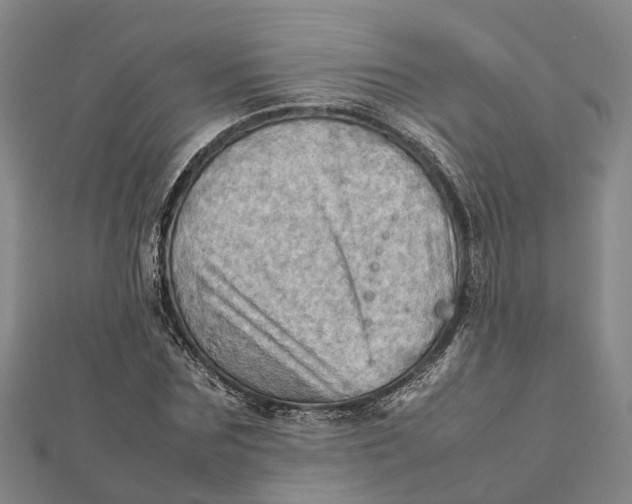 X0000112090875200908251125