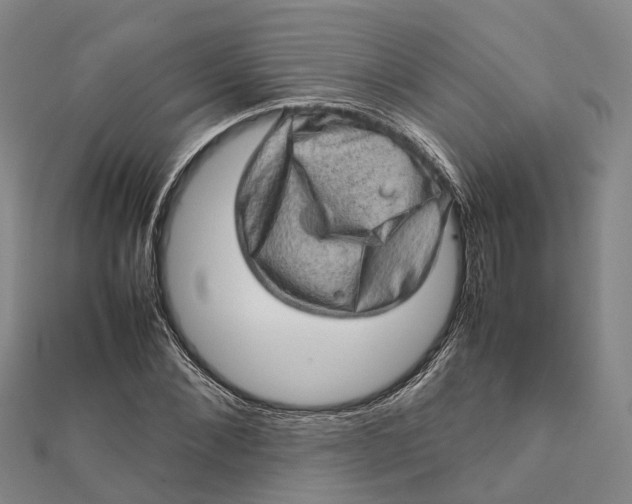 X0000112090876200908251125