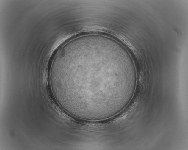 X0000112090877200908251125