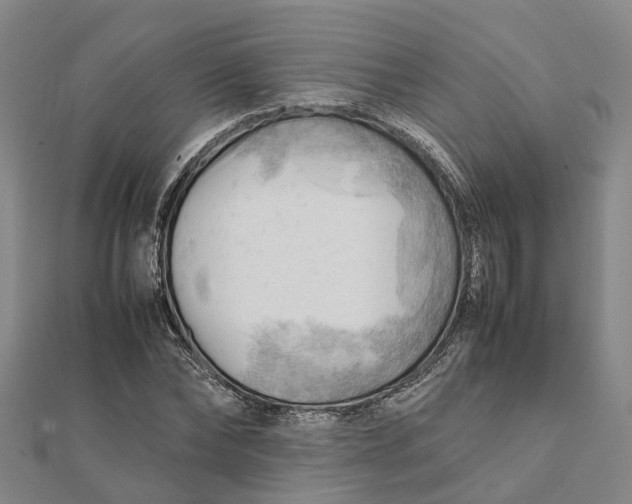 X0000112090878200908251125