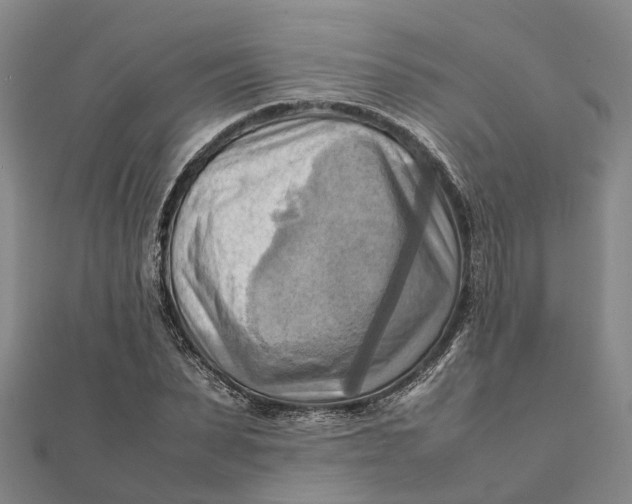 X0000112090879200908251125