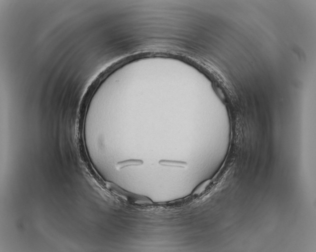 X0000112090880200908251125