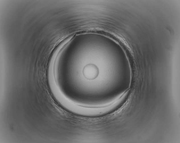 X0000112090881200908251125