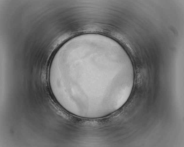 X0000112090882200908251125