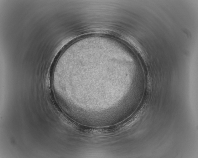 X0000112090883200908251125