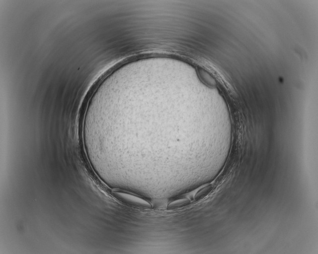 X0000112090884200908251125