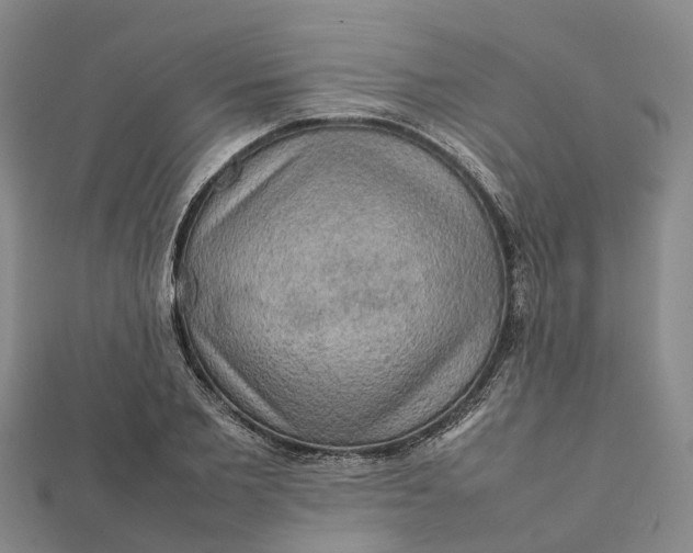 X0000112090885200908251125