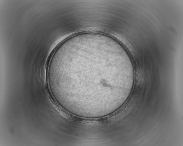 X0000112090886200908251125