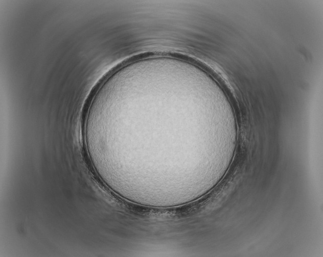 X0000112090887200908251125