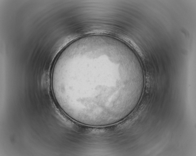 X0000112090890200908251125