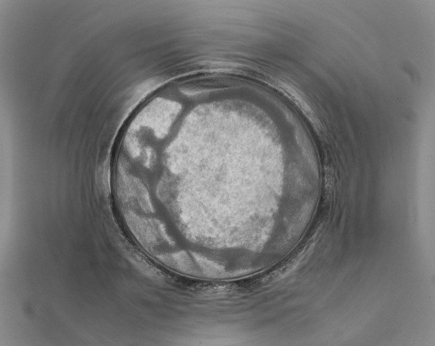 X0000112090891200908251125