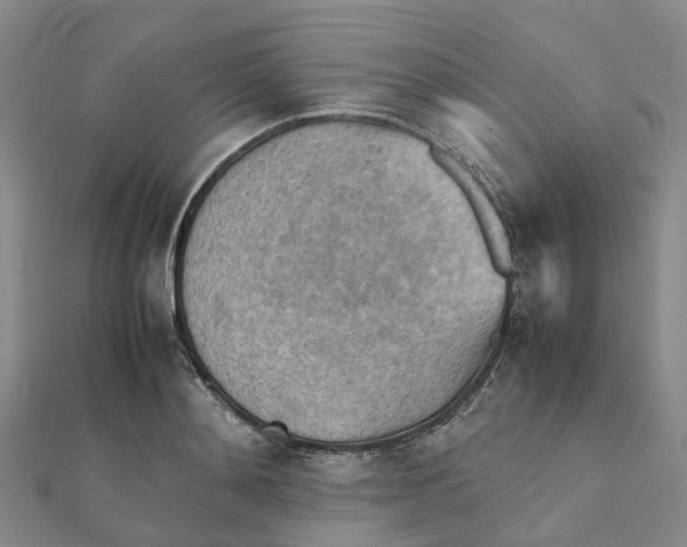 X0000112090892200908251125