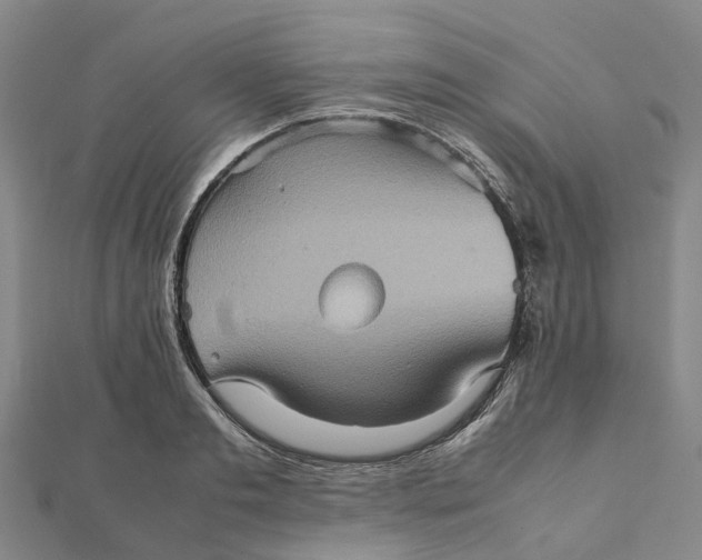 X0000112090893200908251125