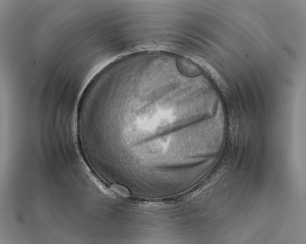 X0000112090894200908251125