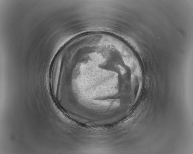 X0000112090895200908251125