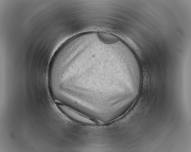 X0000112090896200908251125