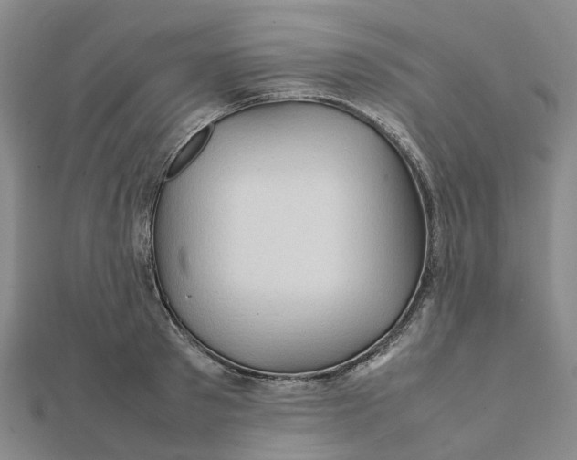 X0000112090897200908251125