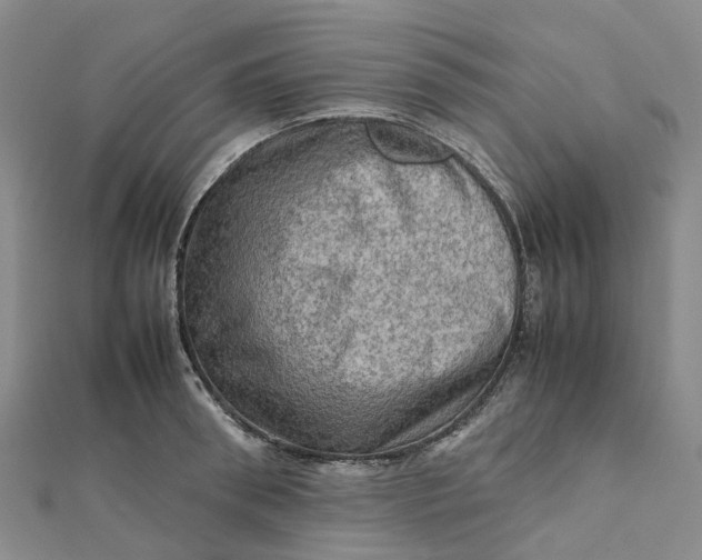 X0000112090898200908251125