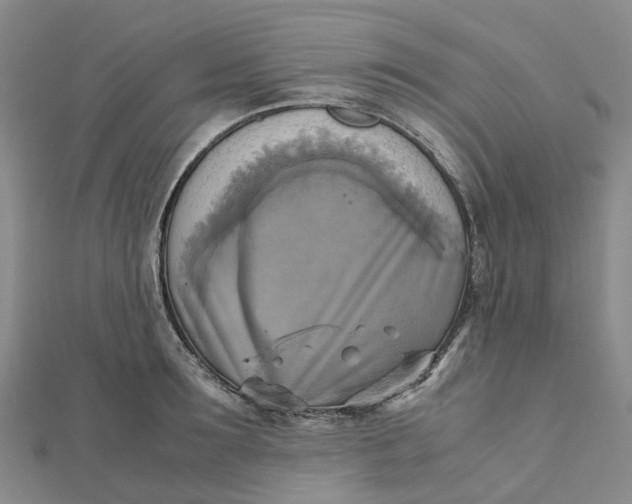 X0000112090899200908251125