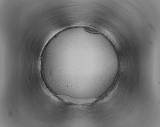 X0000112090900200908251125