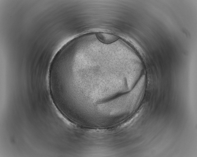 X0000112090902200908251125