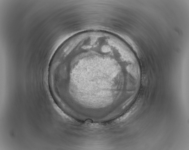 X0000112090903200908251125