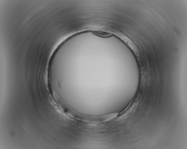 X0000112090904200908251125