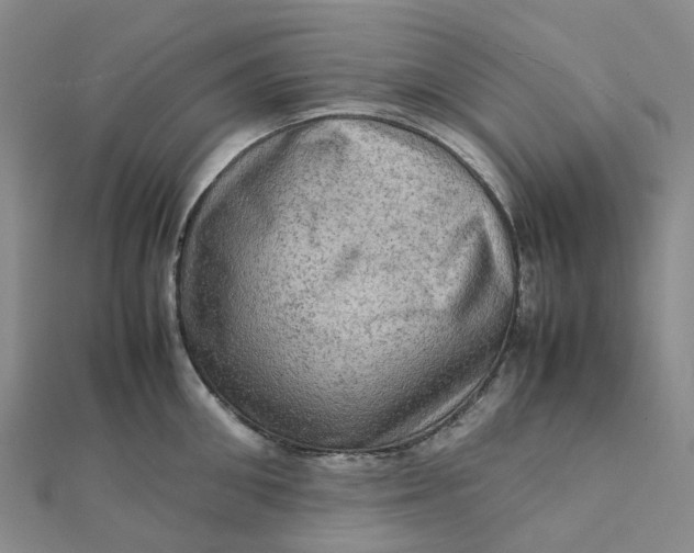 X0000112090906200908251125