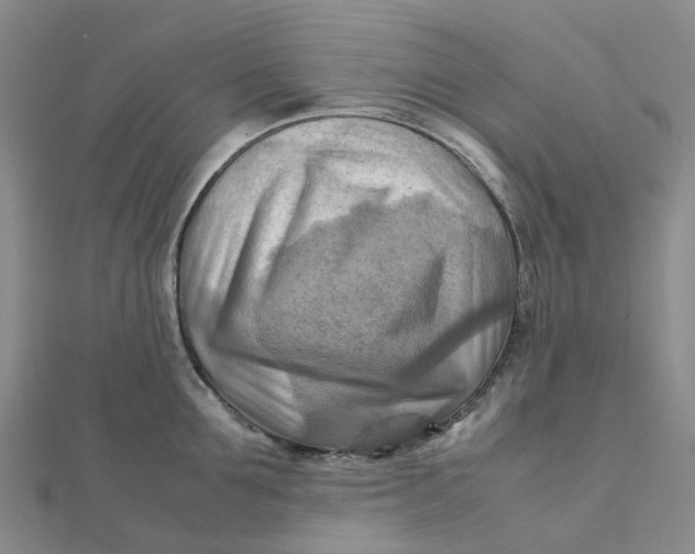 X0000112090907200908251125