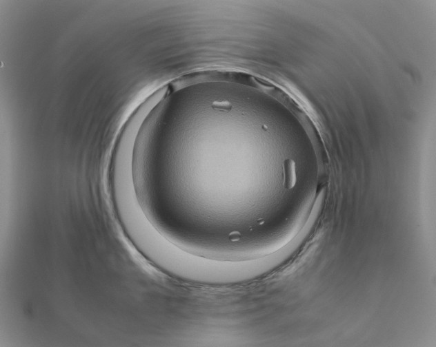 X0000112090909200908251125