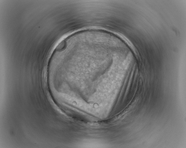 X0000112090911200908251125