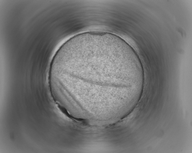 X0000112090912200908251125