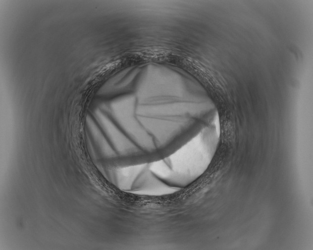 X0000112090913200908251124