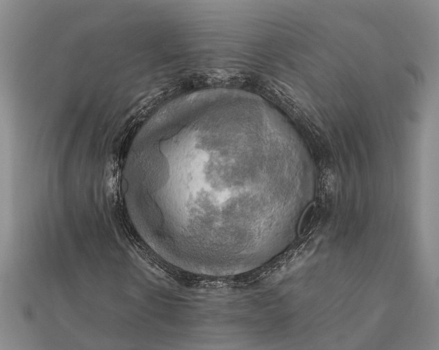 X0000112090914200908251124