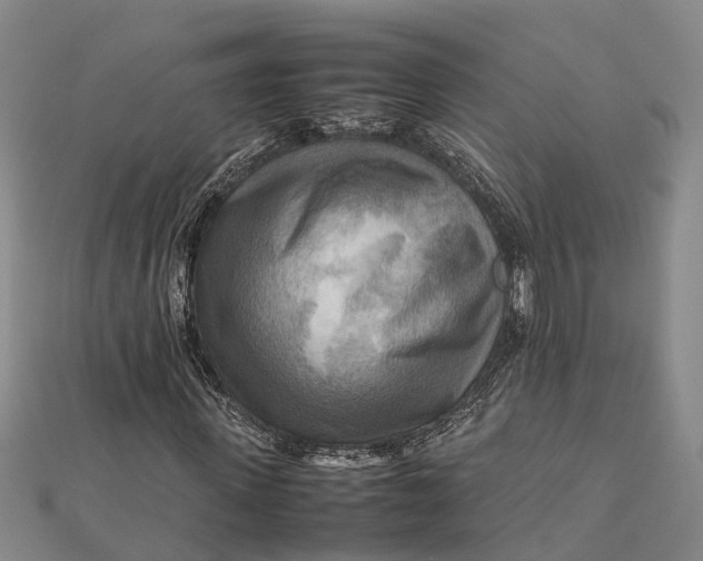 X0000112090915200908251124