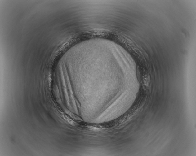 X0000112090916200908251124