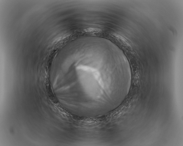 X0000112090917200908251124