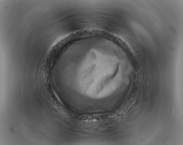 X0000112090919200908251124