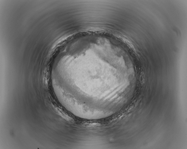 X0000112090920200908251124