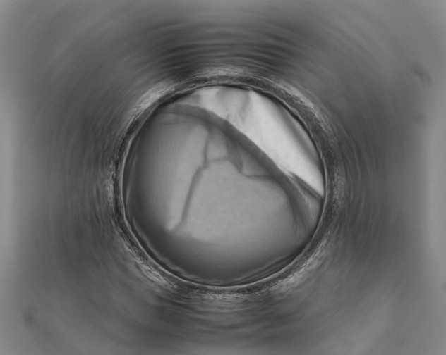 X0000112090921200908251124