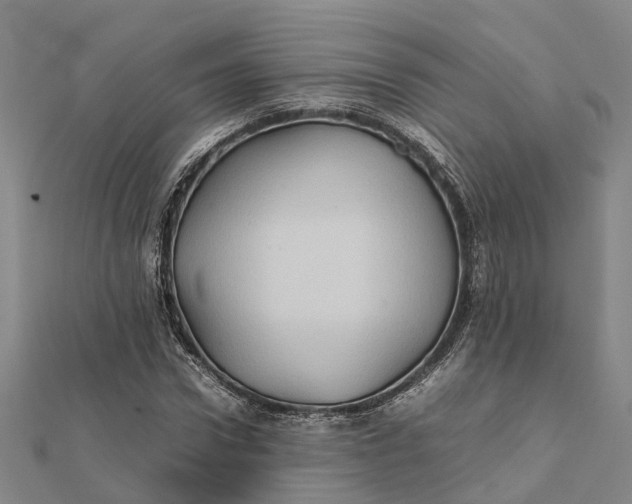 X0000112090922200908251124