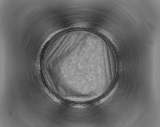 X0000112090923200908251124