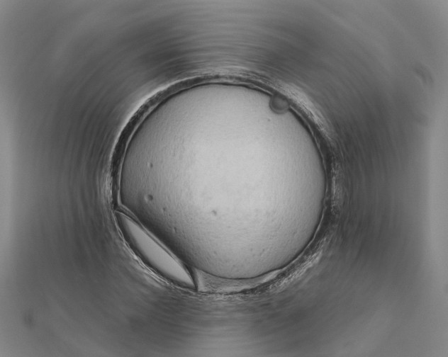 X0000112090924200908251124