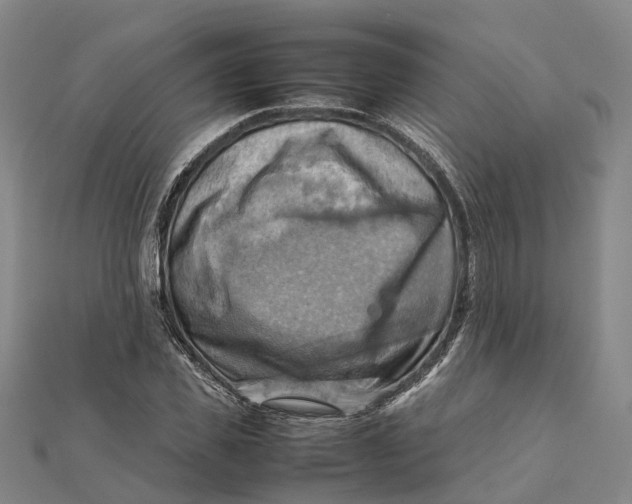 X0000112090925200908251124