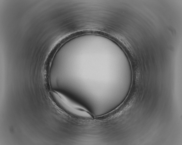 X0000112090926200908251124