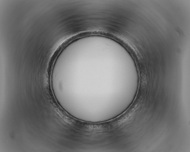 X0000112090927200908251124