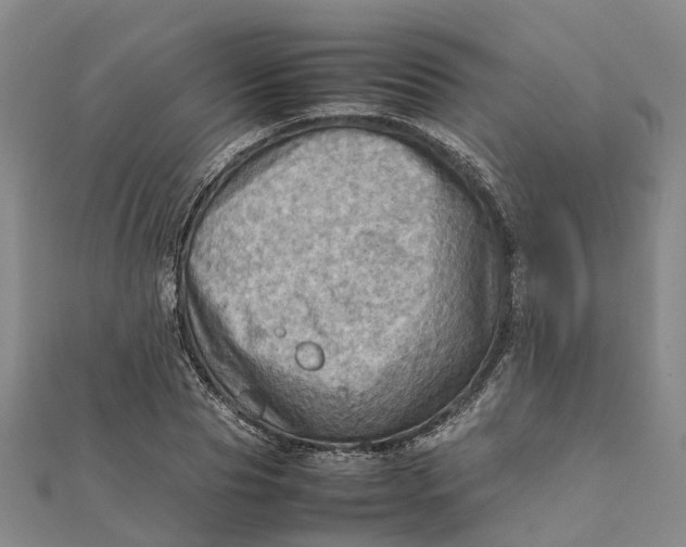 X0000112090929200908251124