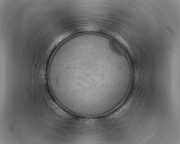 X0000112090930200908251124